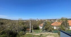 MADÁRCSICSERGŐS KÖRNYEZETBEN, PANORÁMÁS KILÁTÁSSAL, MÉGIS KÖZEL A FŐVÁROSHOZ IKERHÁZ MINDKÉT FELE ELADÓ!!!!