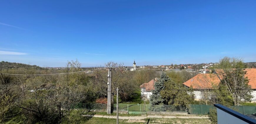 MADÁRCSICSERGŐS KÖRNYEZETBEN, PANORÁMÁS KILÁTÁSSAL, MÉGIS KÖZEL A FŐVÁROSHOZ IKERHÁZ MINDKÉT FELE ELADÓ!!!!