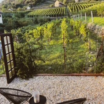 BEFEKTETÉSI LEHETŐSÉG SOMLÓVÁSÁRHELYEN – MŰKÖDŐ VENDÉGHÁZ BRANDDEL EGYÜTT!!!!!