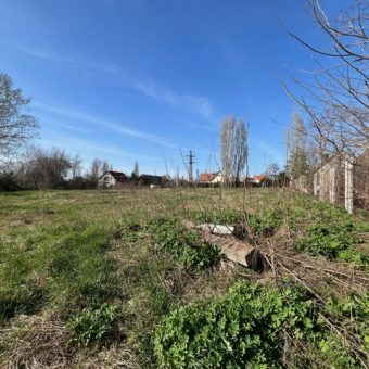 KISTARCSÁN A LIDL KÖZELÉBEN KÖRBEKERÍTETT 3000 M2-ES TELEK ELADÓ!