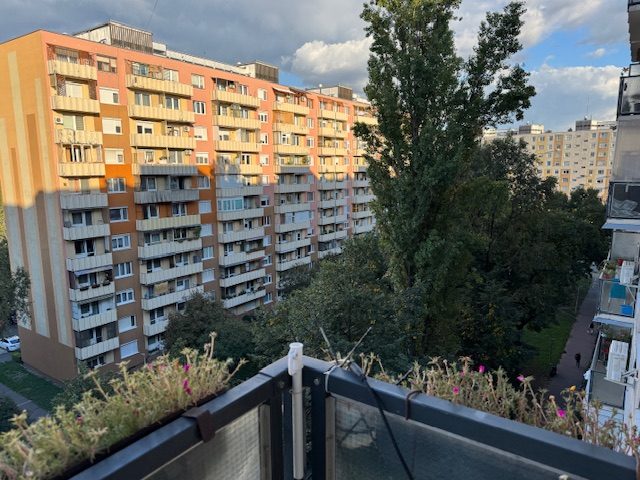 15.KERÜLET ZSÓKAVÁR UTCÁBAN PANELPROGRAMOS HÁZ 7. EMELTÉN FELÚJÍTOTT LAKÁS KIADÓ!